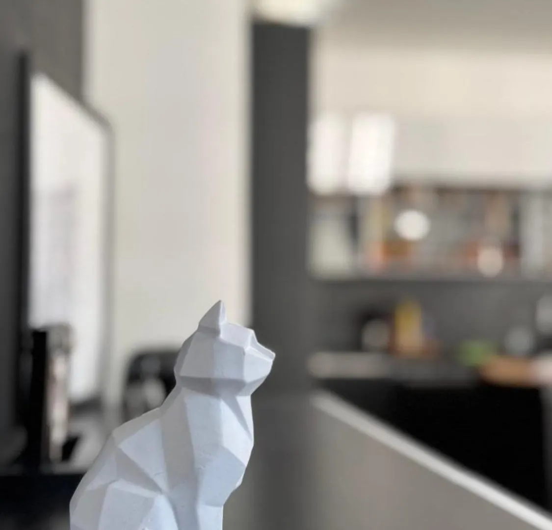 Ecrin Au Coeur De Pres Du Jardin Du Luxembourg Appartement